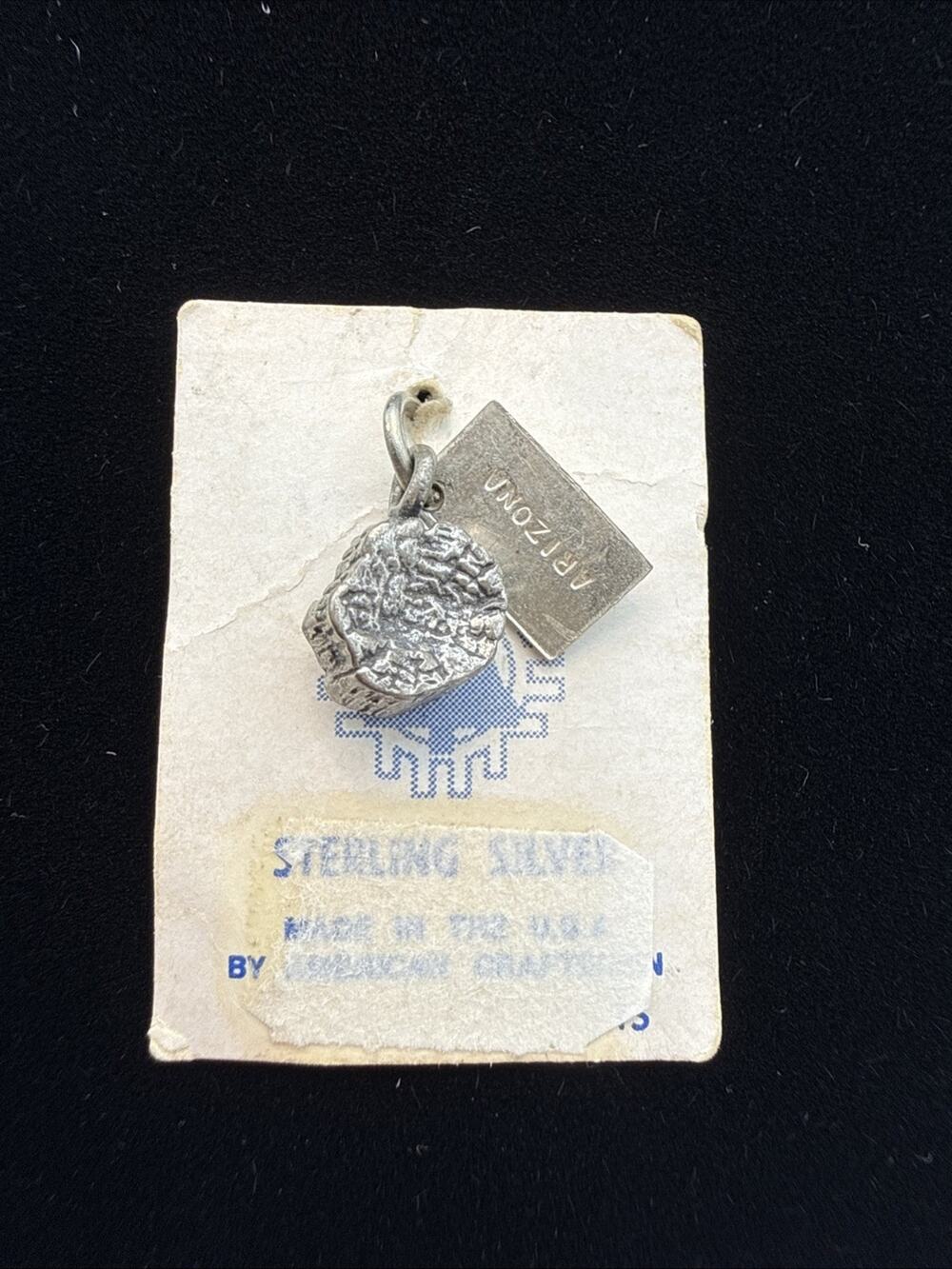 Petrified Forest Wood Log Arizona 3D 925 Solid Sterling Silver Charm USA 2.64g